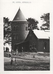 Image, Olive Codling