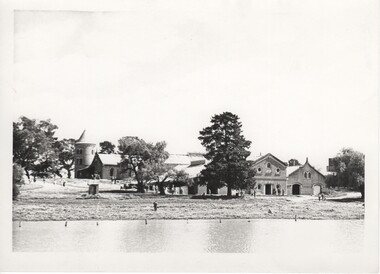 Image, Olive Codling