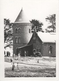 Image, Olive Codling
