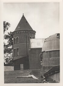 Image, Olive Codling