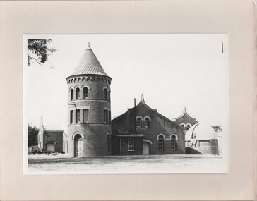 Image, Olive Codling