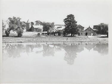 Image, Olive Codling