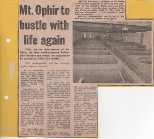Newspaper article, Mt. Ophir to Bustle With Life Again