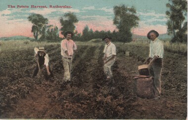 Image, F. Harrison, The Potato Harvest, Rutherglen, c1890