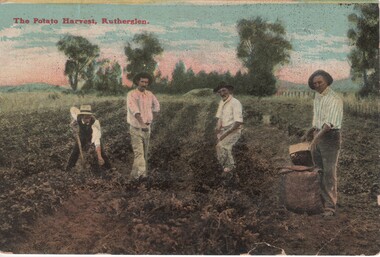 Image, F. Harrison, The Potato Harvest, Rutherglen, c1890