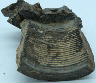 Souvenir, Shrapnel