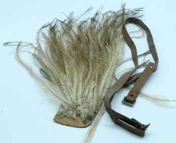Uniform  Light Horse plume WW1