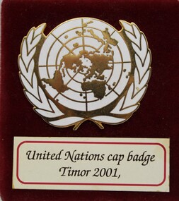 Badge  United Nations, C 2000