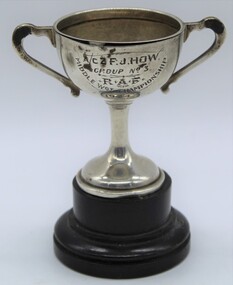 Award - trophy