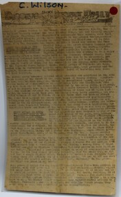 Newspaper, The Diggers Desert Daily