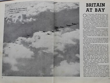Book - The war in pictures-2nd year
