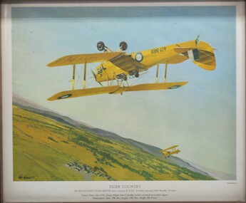 Photograph - Tiger Country, memorabilia