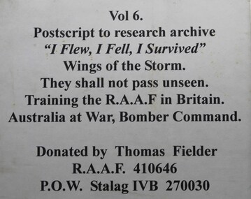 Work on paper - Collection of notes, I flew, I fell, I survived