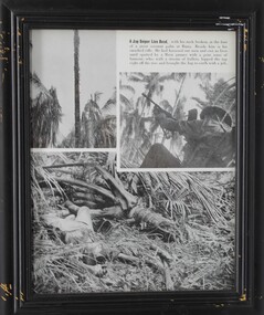 Photograph - Jap sniper lies dead, Framed picture