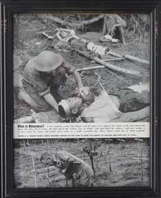Photograph - What is bitterness, Aussie soldier treatin wounded Japanese, Framed photograph