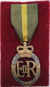Medal - Medal with Khaki Green and YUellow, Unknown