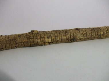 Mulberry Tree Branch, 1874