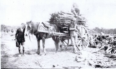 photograph, Cutting timber