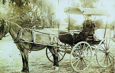 Ann Milford in Buggy, 1896