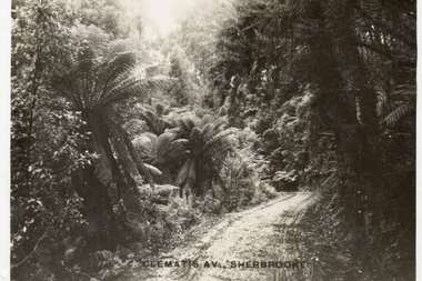 Postcard, Clematis Av, Sherbrooke