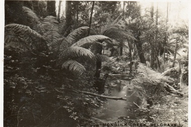 Postcard, Monbulk Creek, Belgrave