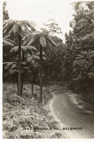 Postcard, The Monbulk Rd, Belgrave