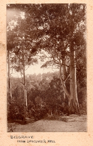 Photograph, Belgrave from Lipscombe's Hill