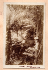Photograph, Jacobs Ladder, Sherbrooke