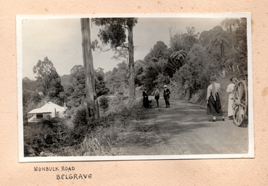 Photograph, Monbulk Road, Belgrave