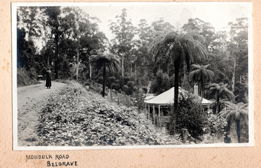 Photograph, Monbulk Road, Belgrave