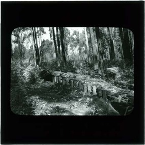 Photograph, Termite fence line test, Belgrave