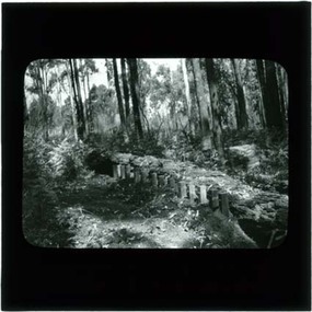 Photograph, Termite fence line test, Belgrave
