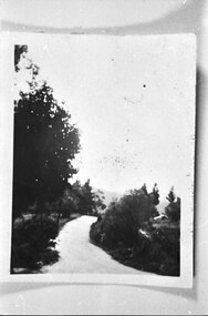 Photograph - Looking along the Crescent