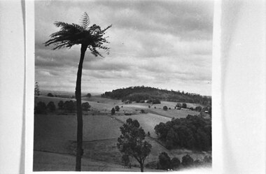 Photograph, Cotswold Valley, Menzies Creek