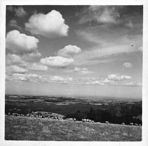 Photograph, Looking south from Black Hill Road Menzies Creek