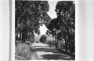 Looking west down road to Selby from Hermons Corner