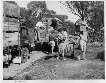 Photograph - Unpacking trucks for Scout jamboree held on Montague Orchards in Narre Warren North