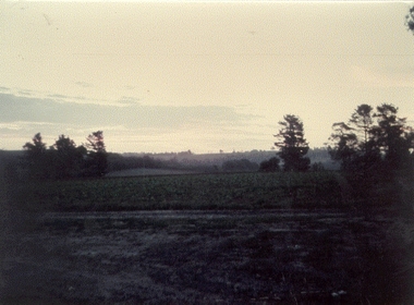 Photograph - Morning mist at Montague Orchards
