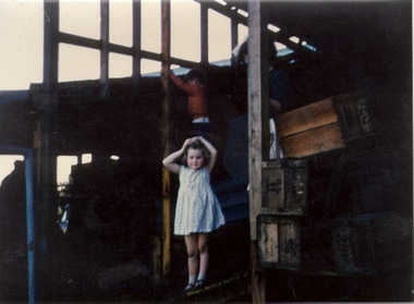 Photograph - Carrot washing at Montague Orchards