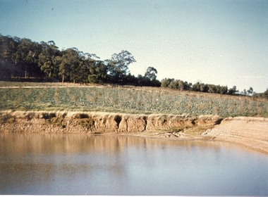 Photograph - The dam, Montague Orchards