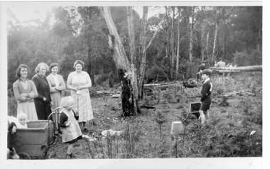 Photograph - Menzies Creek hall preparatory work, c. 1953