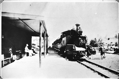 Photograph - Photo, Menzies Creek Station