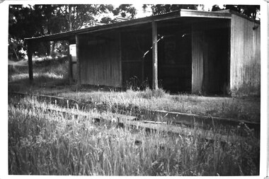 Photograph - Photo-black & white-Menzies Creek Railway Station