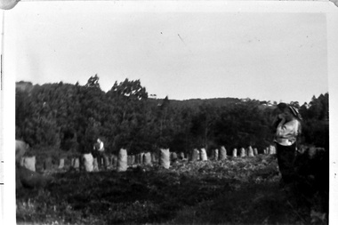 Photograph - Bagging potatoes on Hermon farm, Menzies Creek