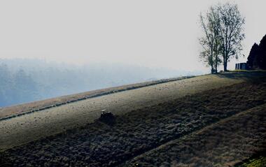 Photograph - Photo, Cotswold Valley
