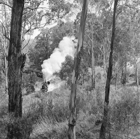 Photograph - Puffing Billy train