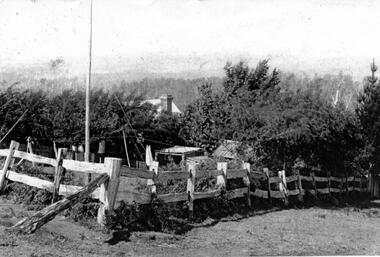 Photograph - Tantallon, Douglas farm at Menzies Creek/Emerald