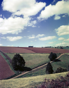 Photograph - Farmland, Menzies Creek
