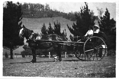 Photograph - Cissie Johns in jinker, c.1913