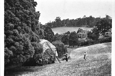 Photograph - Hay being stacked at Glen Park Farm, Selby